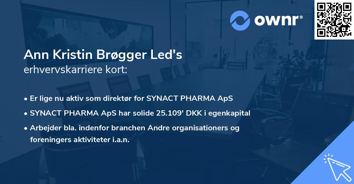 Ann Kristin Brøgger Led's erhvervskarriere kort