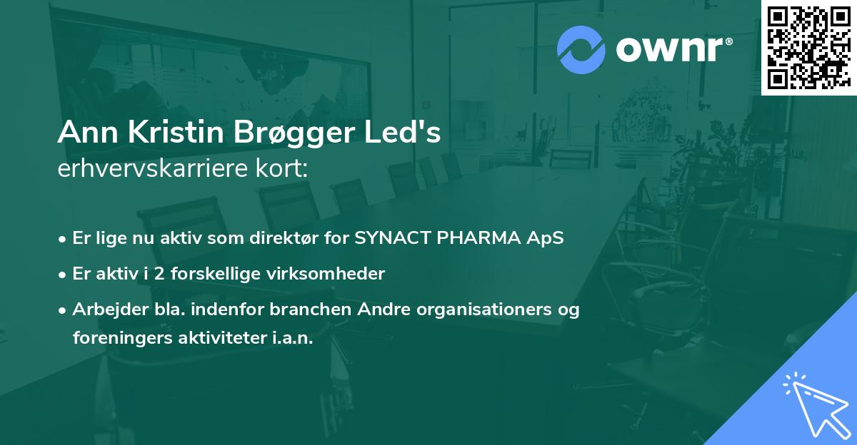 Ann Kristin Brøgger Led's erhvervskarriere kort