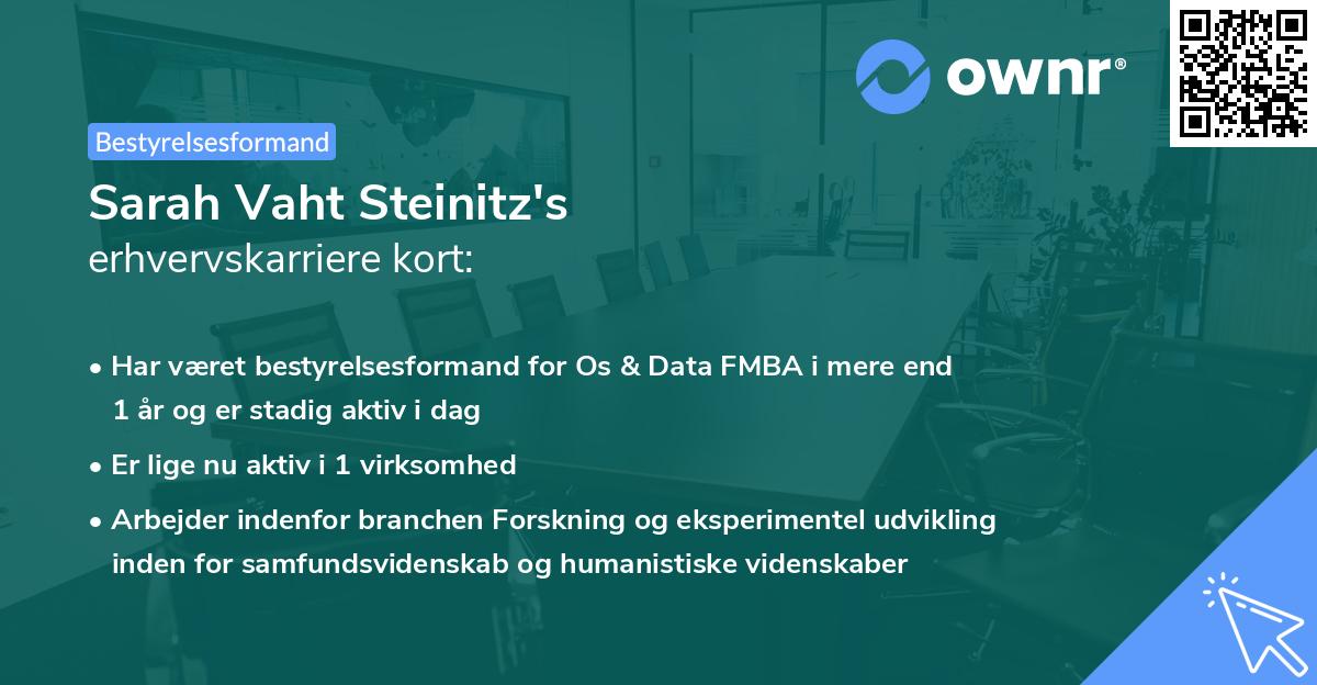 Sarah Vaht Steinitz's erhvervskarriere kort