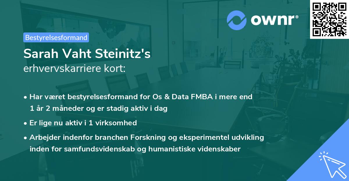 Sarah Vaht Steinitz's erhvervskarriere kort