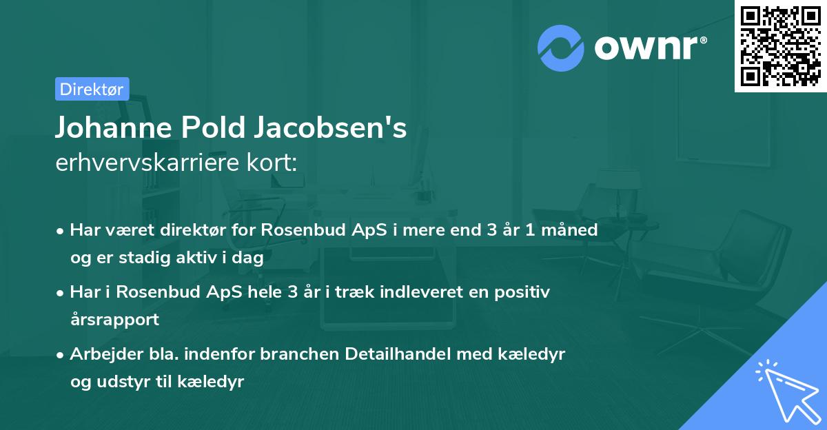 Johanne Pold Jacobsen's erhvervskarriere kort