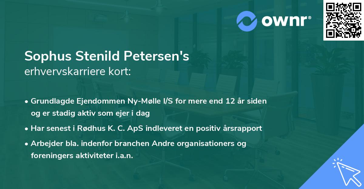 Sophus Stenild Petersen's erhvervskarriere kort