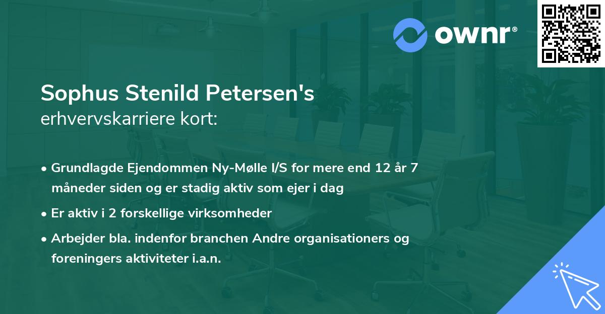 Sophus Stenild Petersen's erhvervskarriere kort