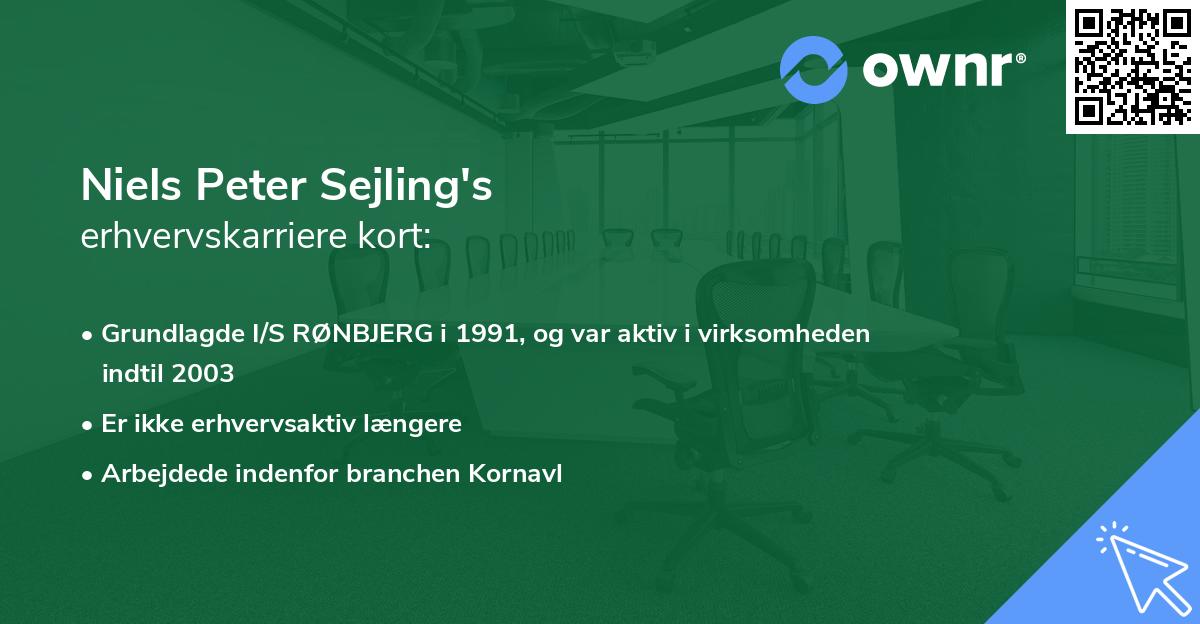 Niels Peter Sejling's erhvervskarriere kort