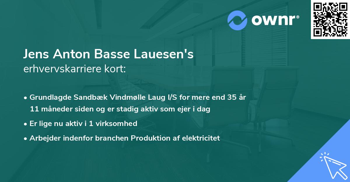 Jens Anton Basse Lauesen's erhvervskarriere kort