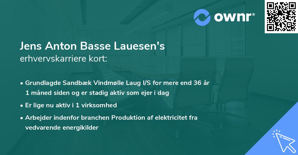 Jens Anton Basse Lauesen's erhvervskarriere kort