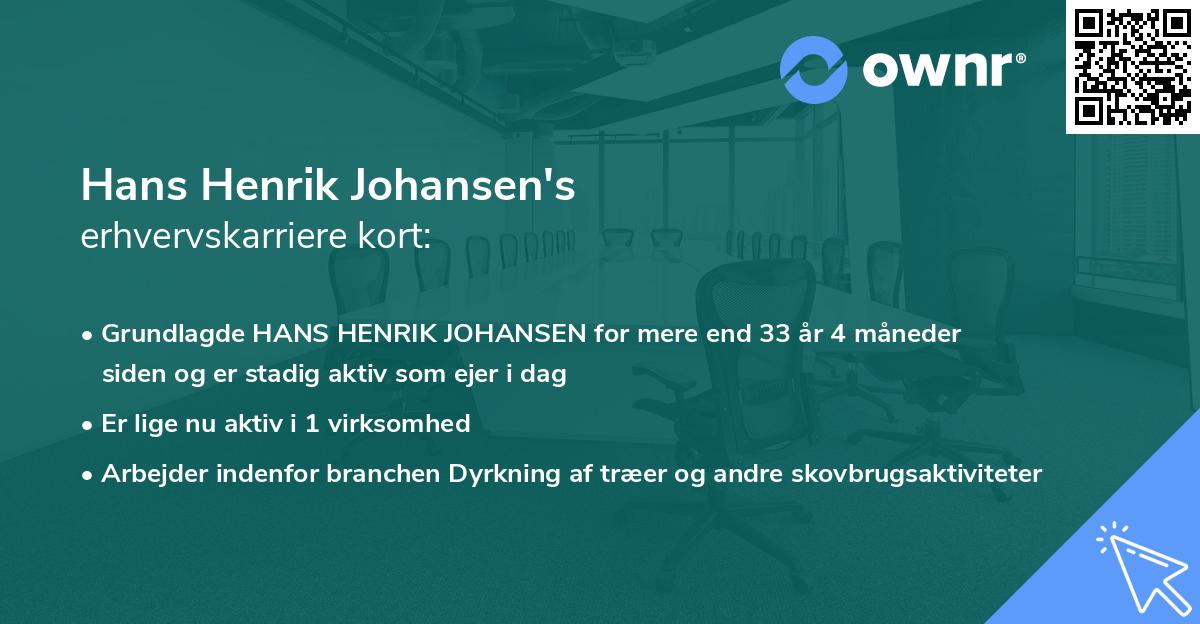 Hans Henrik Johansen's erhvervskarriere kort