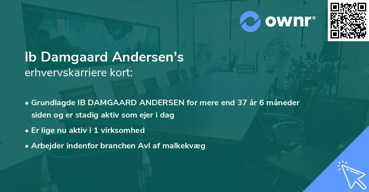 Ib Damgaard Andersen's erhvervskarriere kort