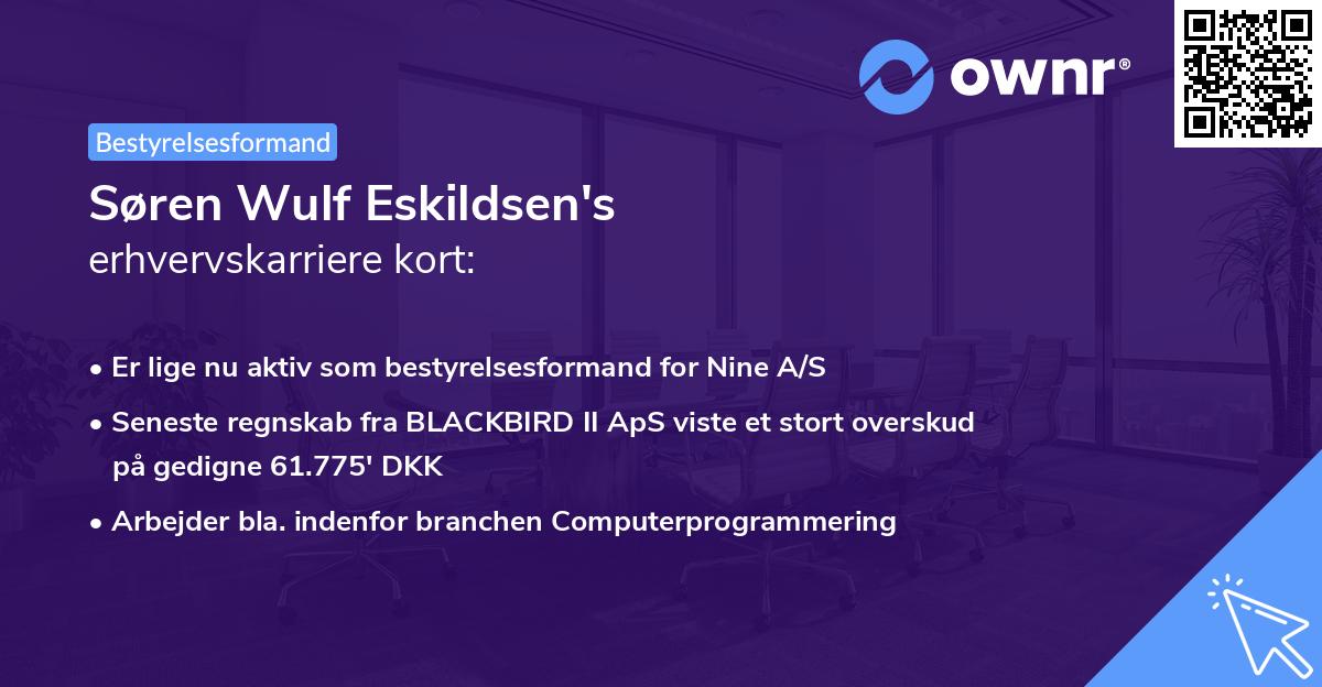 Søren Wulf Eskildsen's erhvervskarriere kort