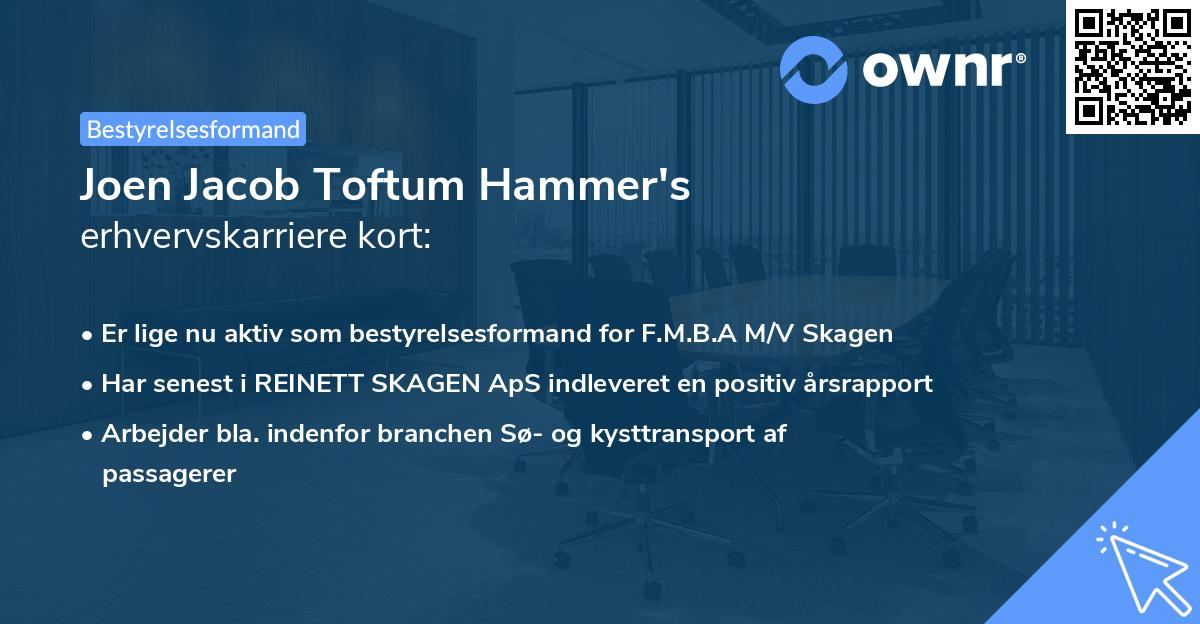 Joen Jacob Toftum Hammer's erhvervskarriere kort
