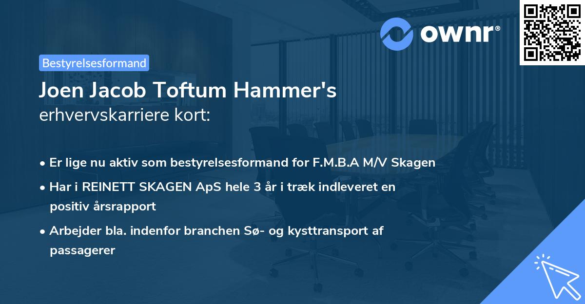 Joen Jacob Toftum Hammer's erhvervskarriere kort