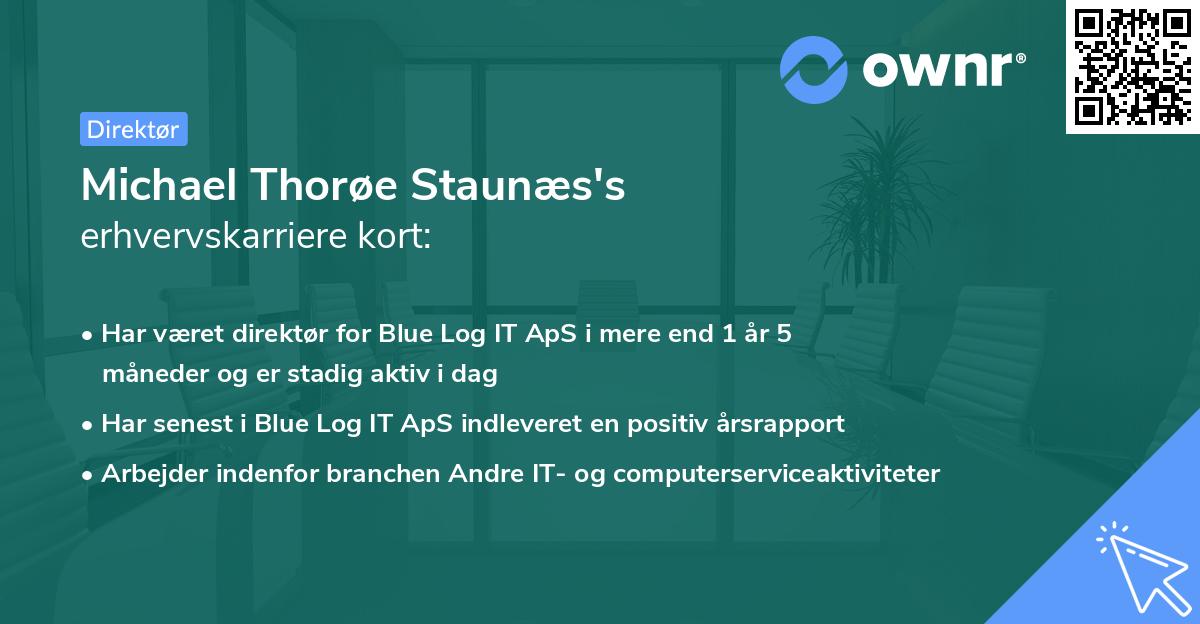 Michael Thorøe Staunæs's erhvervskarriere kort