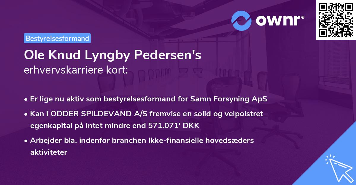 Ole Knud Lyngby Pedersen's erhvervskarriere kort
