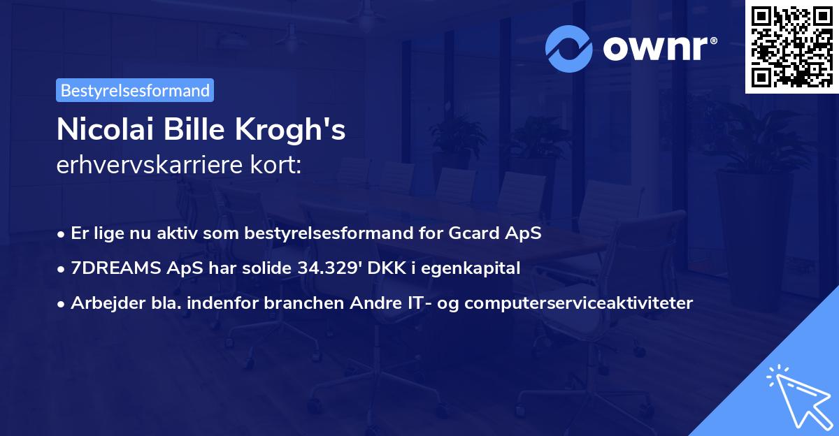 Nicolai Bille Krogh's erhvervskarriere kort