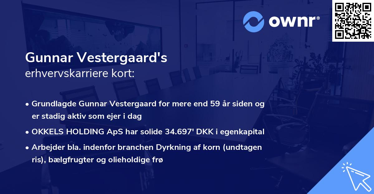 Gunnar Vestergaard's erhvervskarriere kort