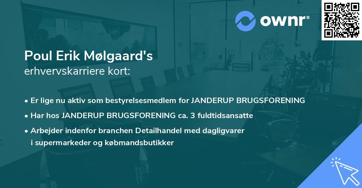 Poul Erik Mølgaard's erhvervskarriere kort