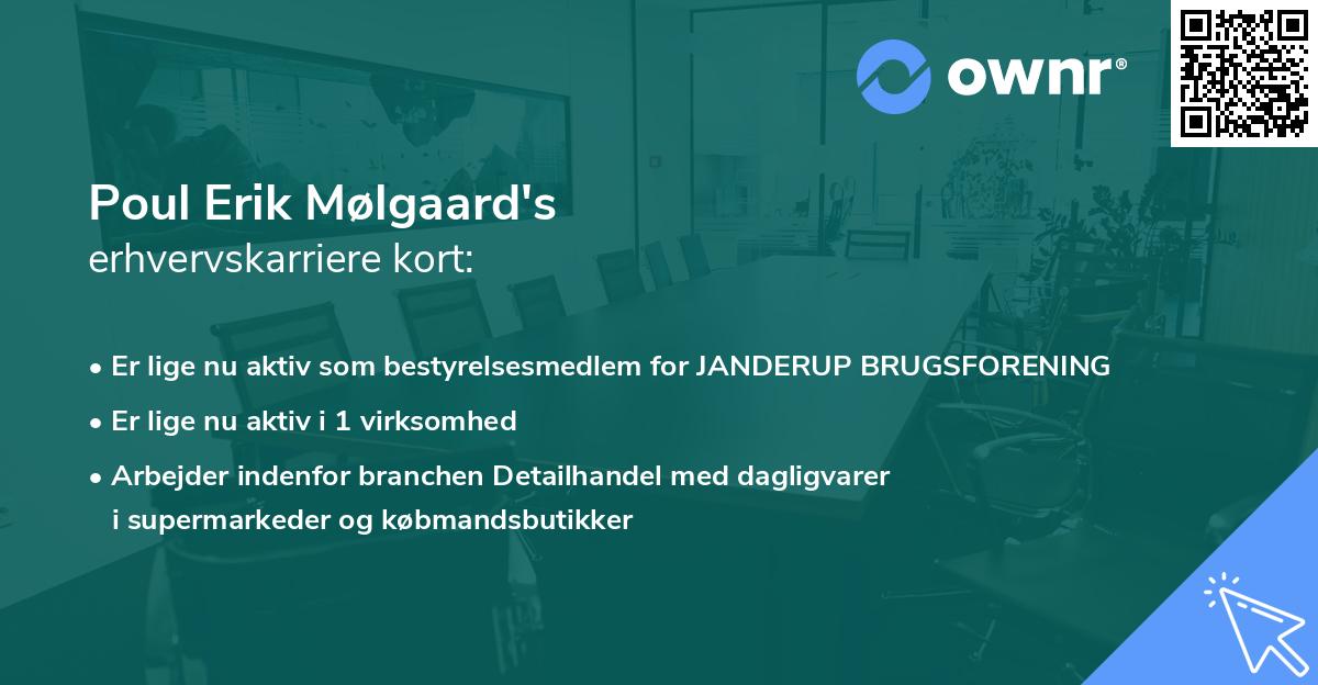 Poul Erik Mølgaard's erhvervskarriere kort