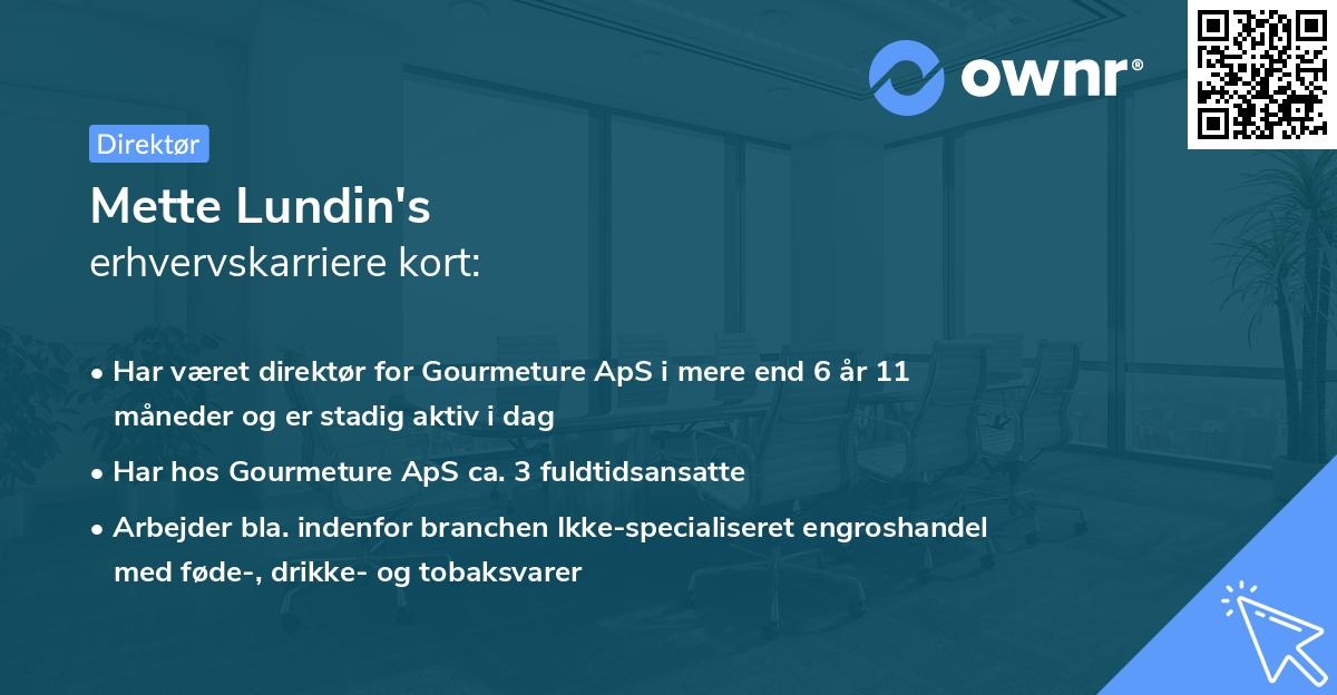Mette Lundin's erhvervskarriere kort