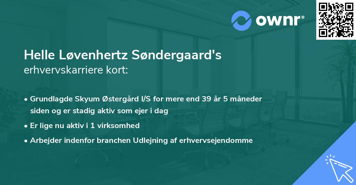 Helle Løvenhertz Søndergaard's erhvervskarriere kort