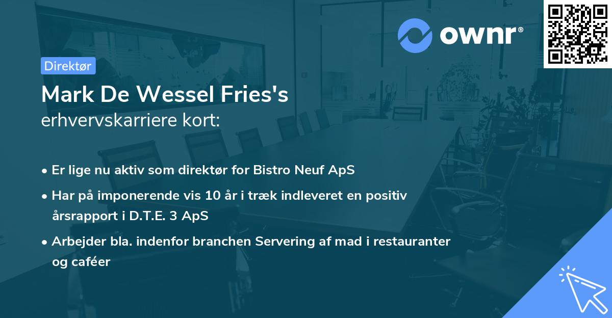 Mark De Wessel Fries's erhvervskarriere kort