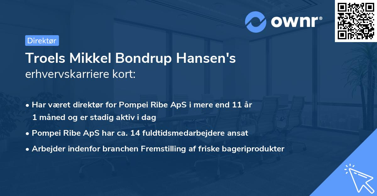 Troels Mikkel Bondrup Hansen's erhvervskarriere kort