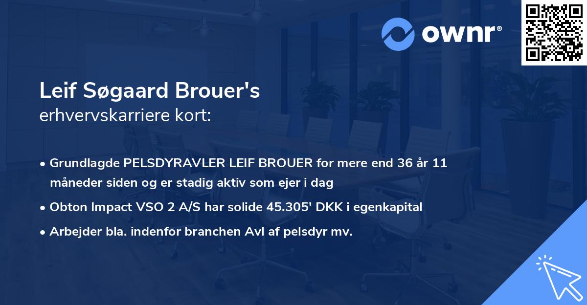 Leif Søgaard Brouer's erhvervskarriere kort