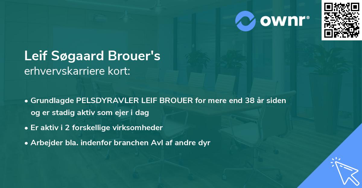 Leif Søgaard Brouer's erhvervskarriere kort