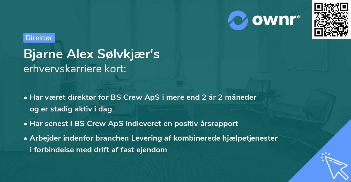 Bjarne Alex Sølvkjær's erhvervskarriere kort