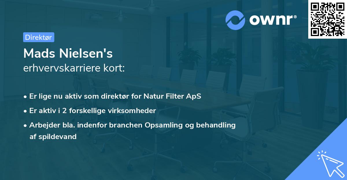 Mads Nielsen's erhvervskarriere kort