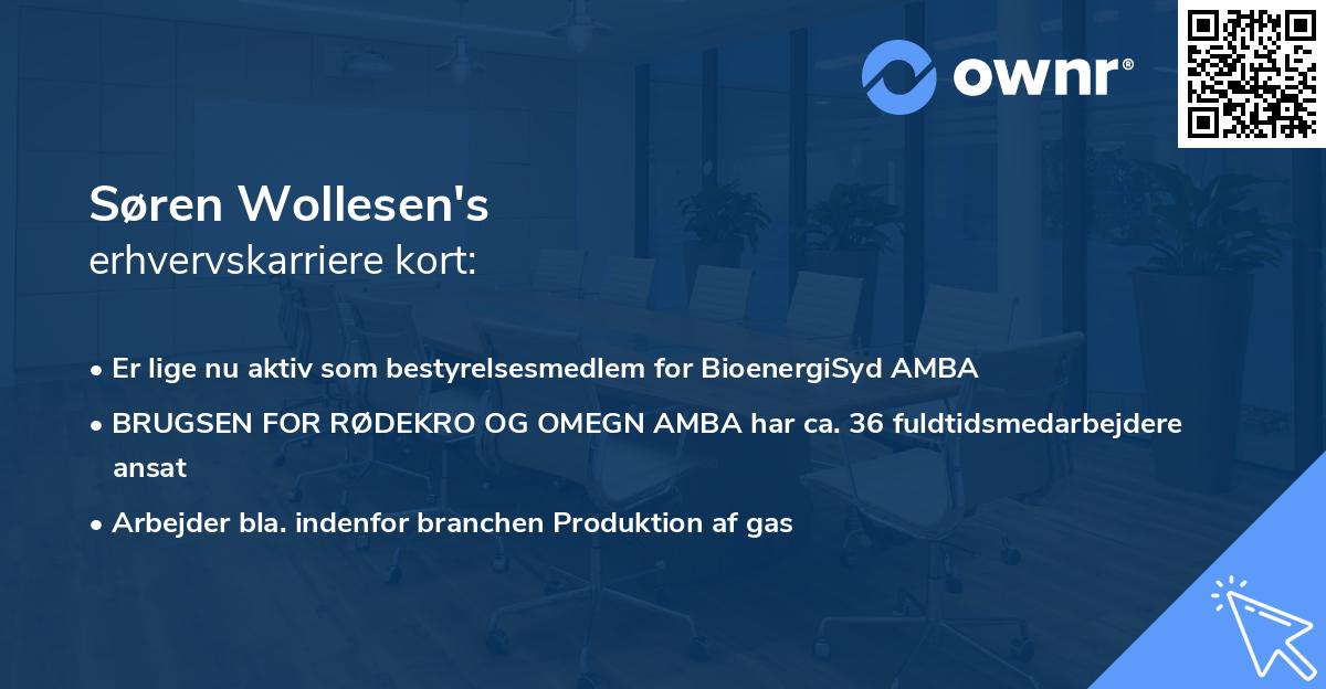 Søren Wollesen's erhvervskarriere kort