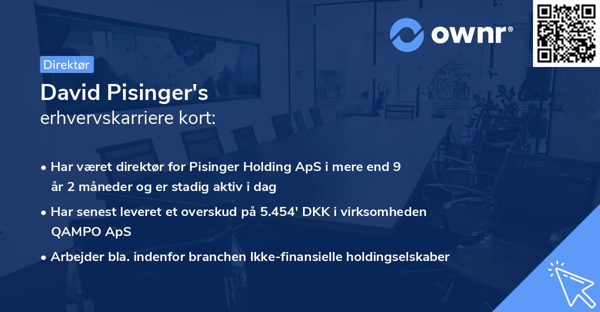 David Pisinger's erhvervskarriere kort