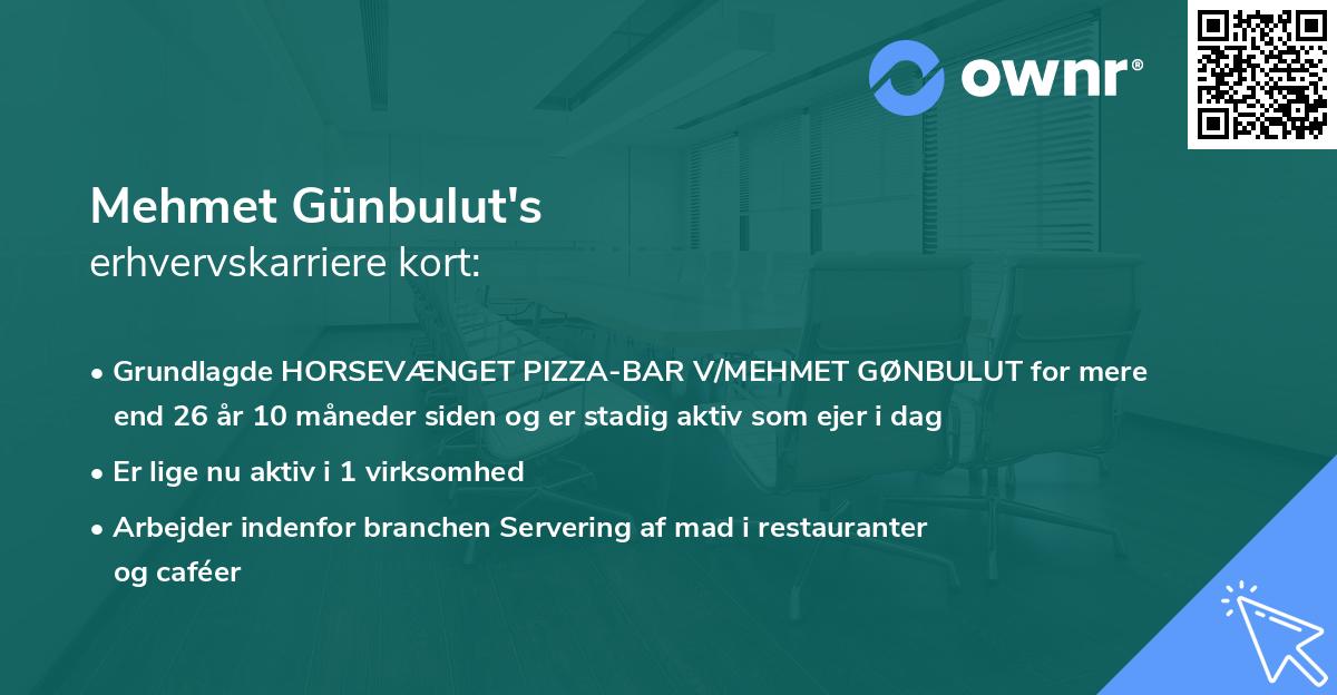 Mehmet Günbulut's erhvervskarriere kort