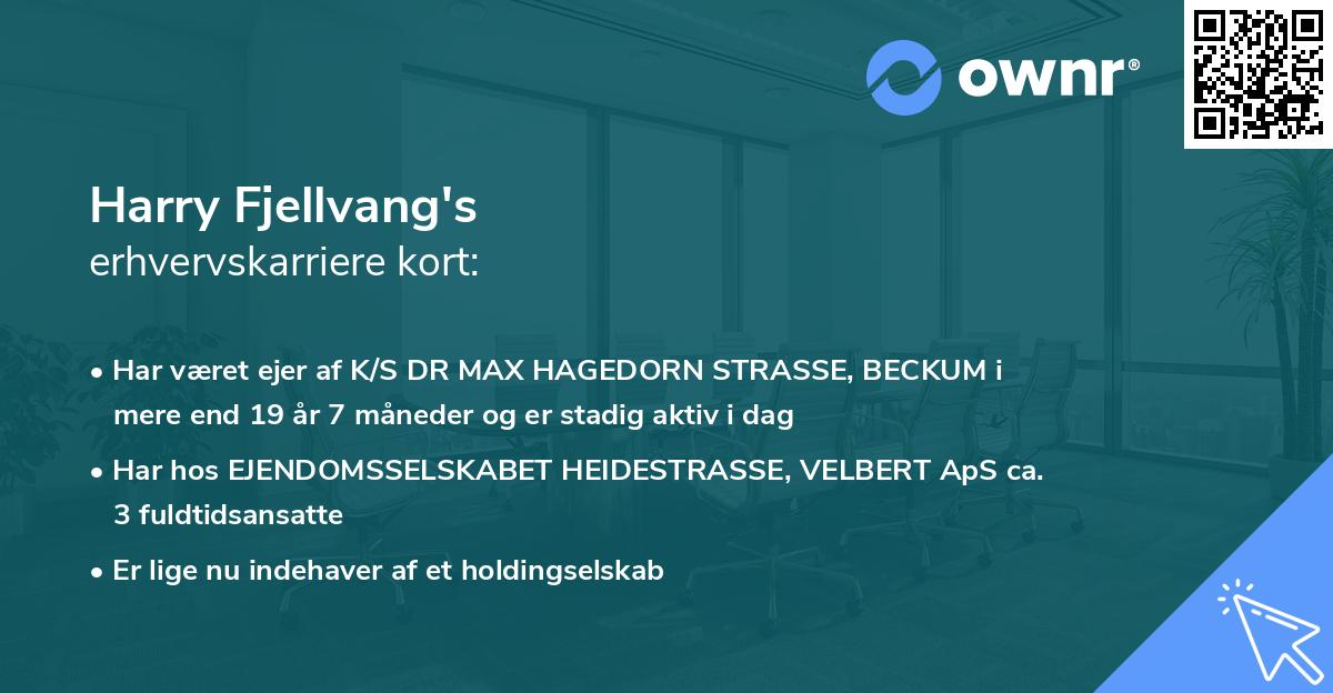 Harry Fjellvang's erhvervskarriere kort