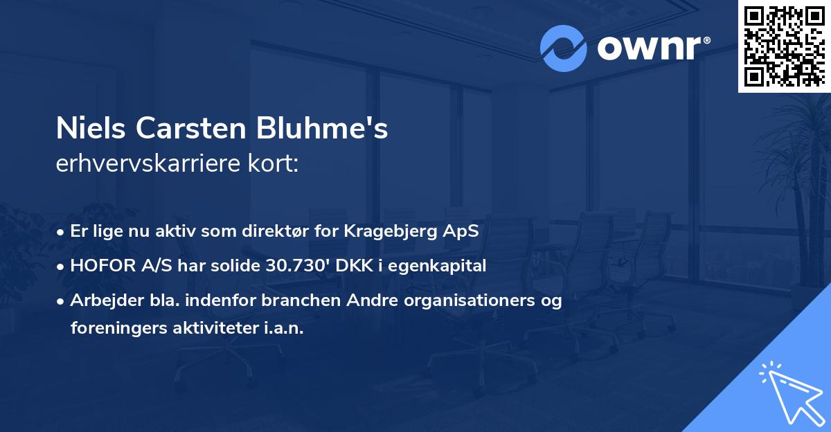 Niels Carsten Bluhme's erhvervskarriere kort