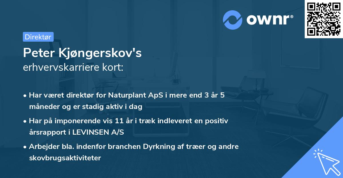 Peter Kjøngerskov's erhvervskarriere kort