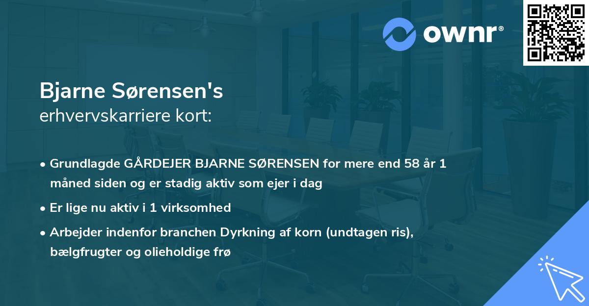 Bjarne Sørensen's erhvervskarriere kort