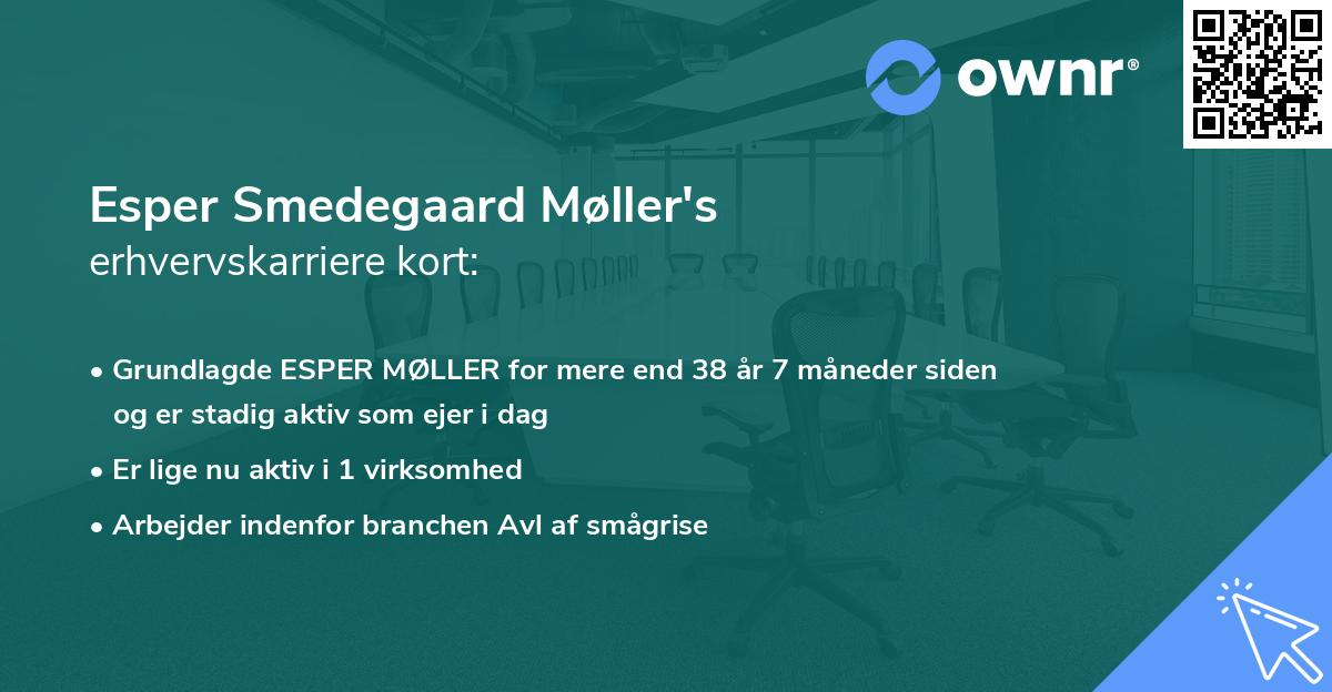 Esper Smedegaard Møller's erhvervskarriere kort