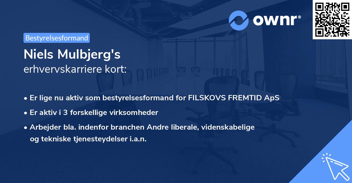 Niels Mulbjerg's erhvervskarriere kort