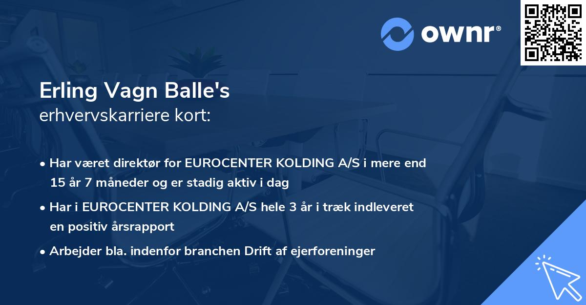 Erling Vagn Balle's erhvervskarriere kort