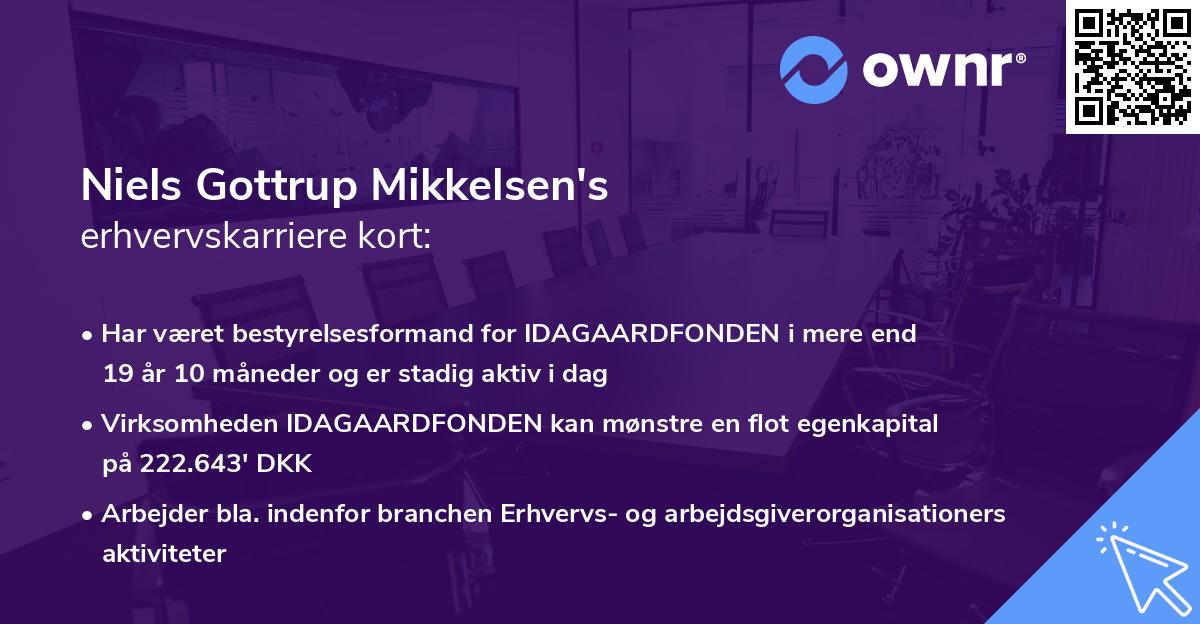 Niels Gottrup Mikkelsen's erhvervskarriere kort