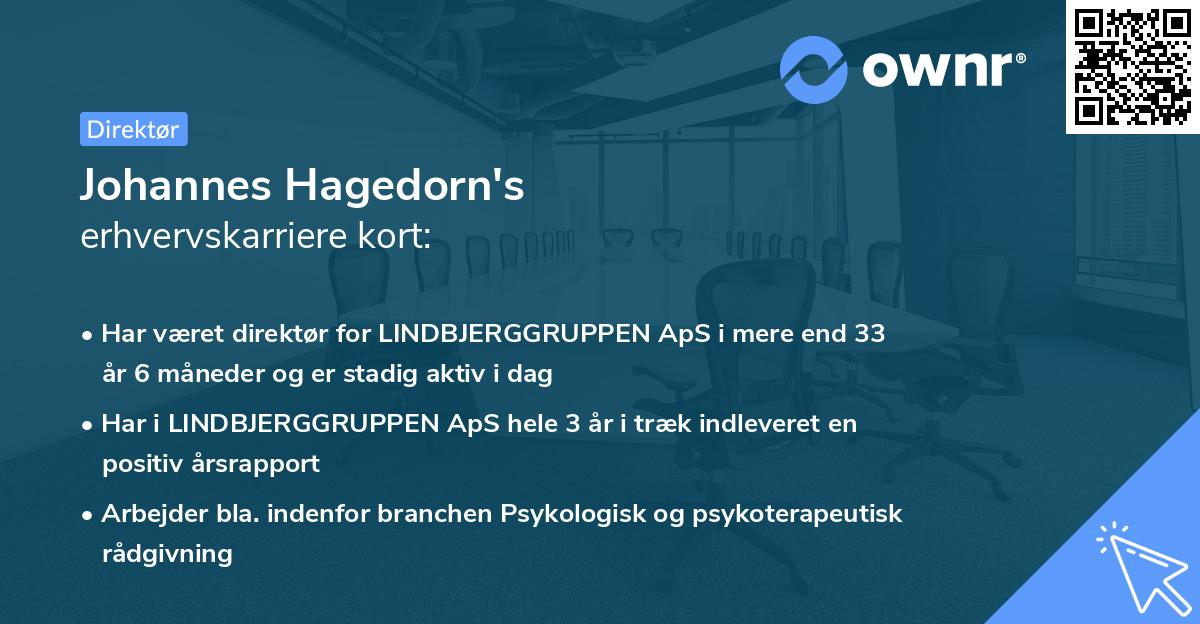 Johannes Hagedorn's erhvervskarriere kort