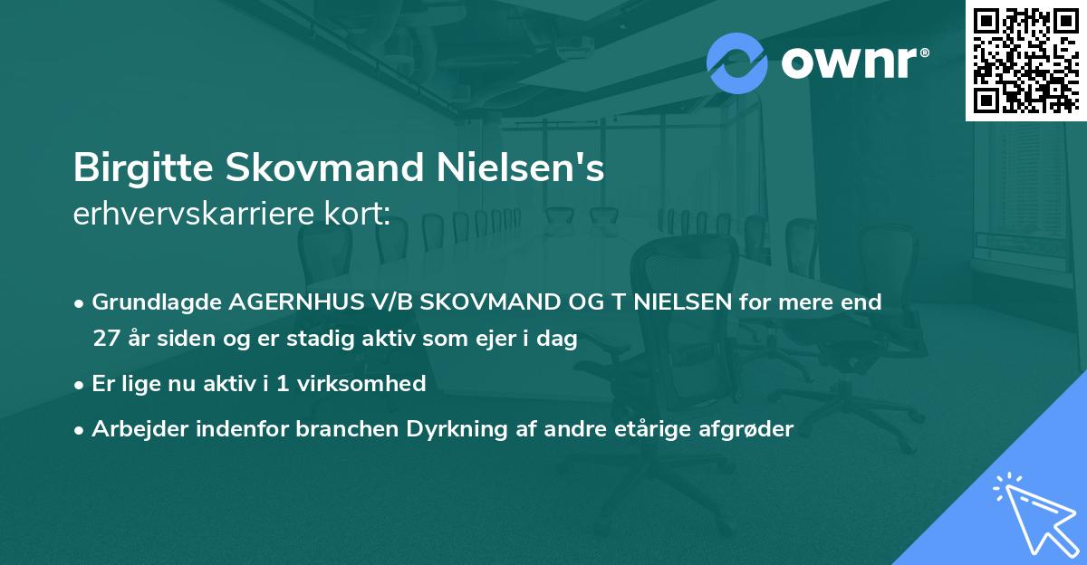 Birgitte Skovmand Nielsen's erhvervskarriere kort