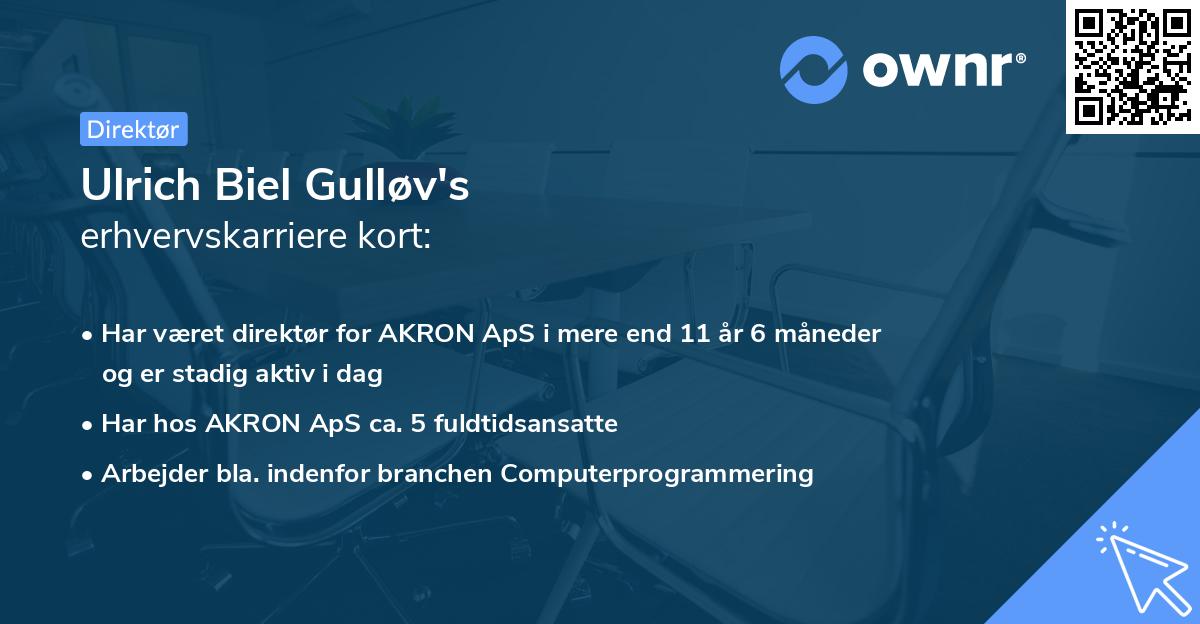 Ulrich Biel Gulløv's erhvervskarriere kort