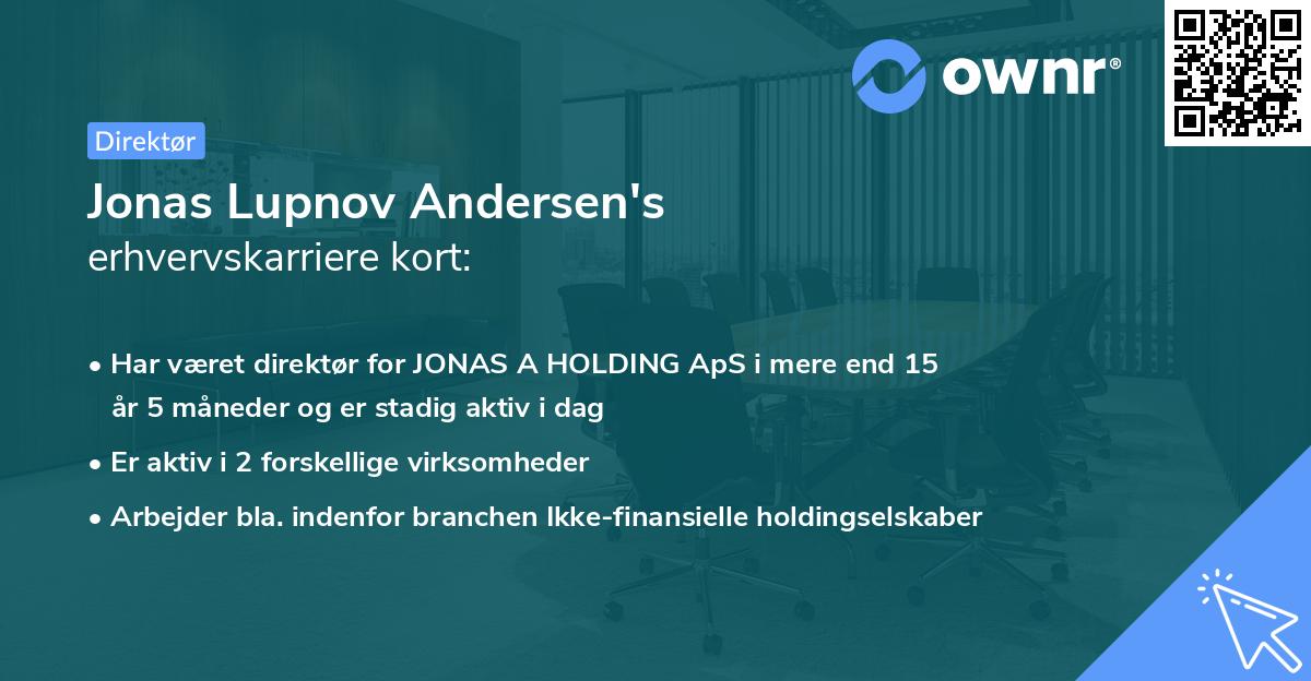 Jonas Lupnov Andersen's erhvervskarriere kort