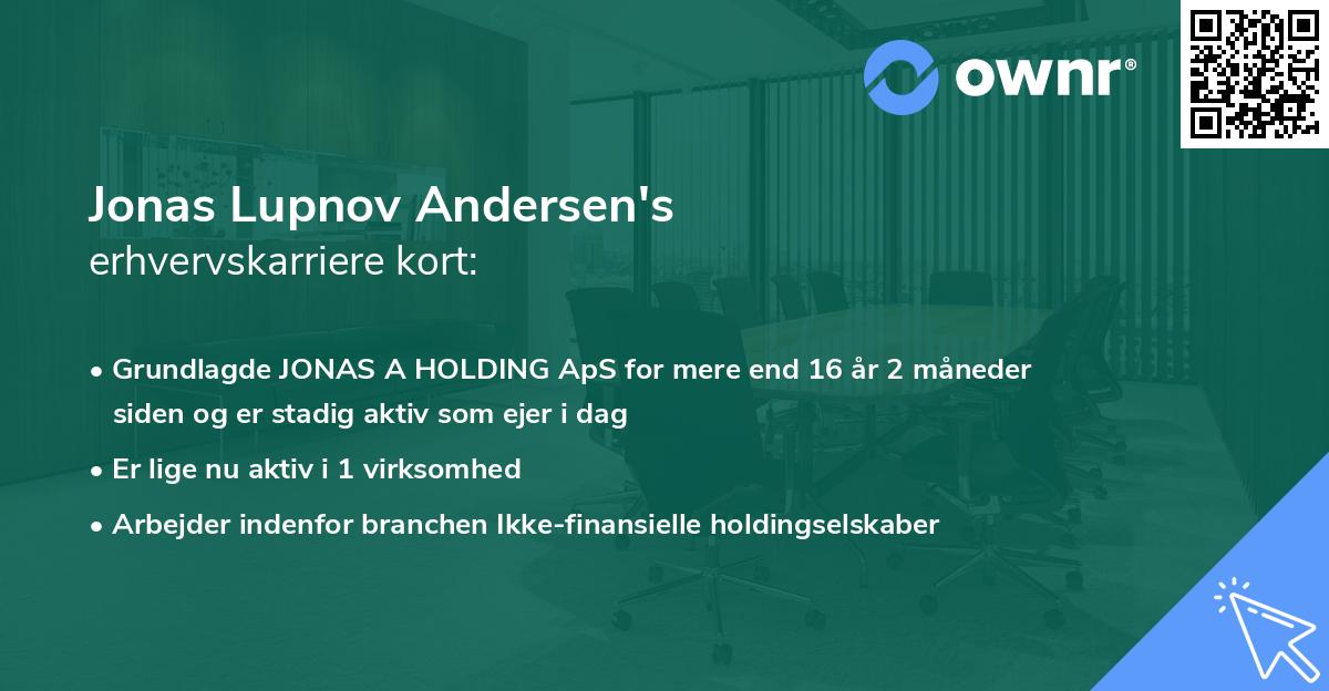 Jonas Lupnov Andersen's erhvervskarriere kort