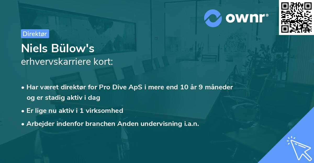 Niels Bülow's erhvervskarriere kort