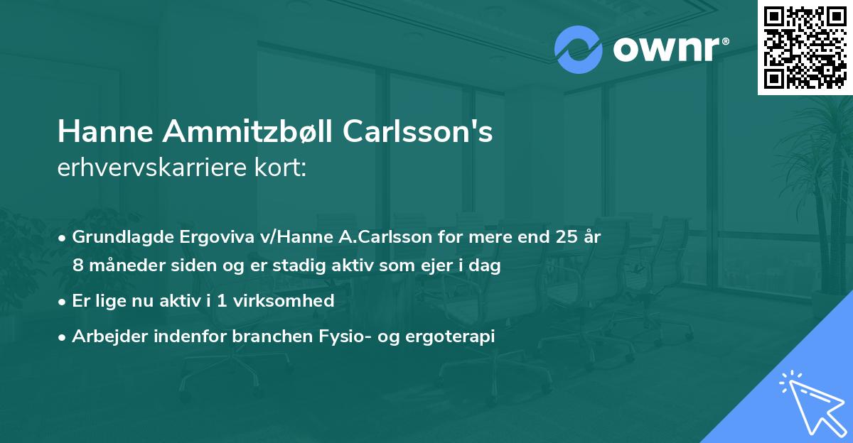 Hanne Ammitzbøll Carlsson's erhvervskarriere kort