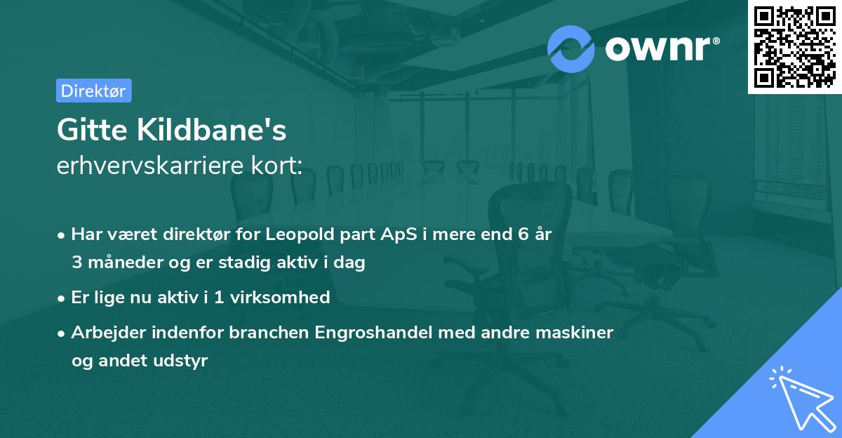 Gitte Kildbane's erhvervskarriere kort