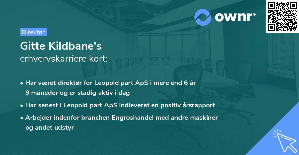 Gitte Kildbane's erhvervskarriere kort
