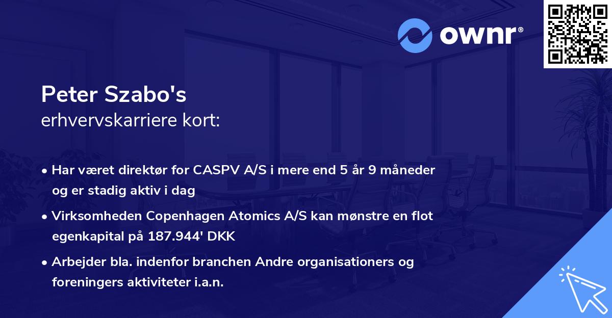 Peter Szabo's erhvervskarriere kort